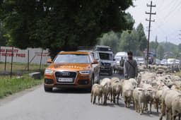 Traffic isn't necessarily caused by vehicles.